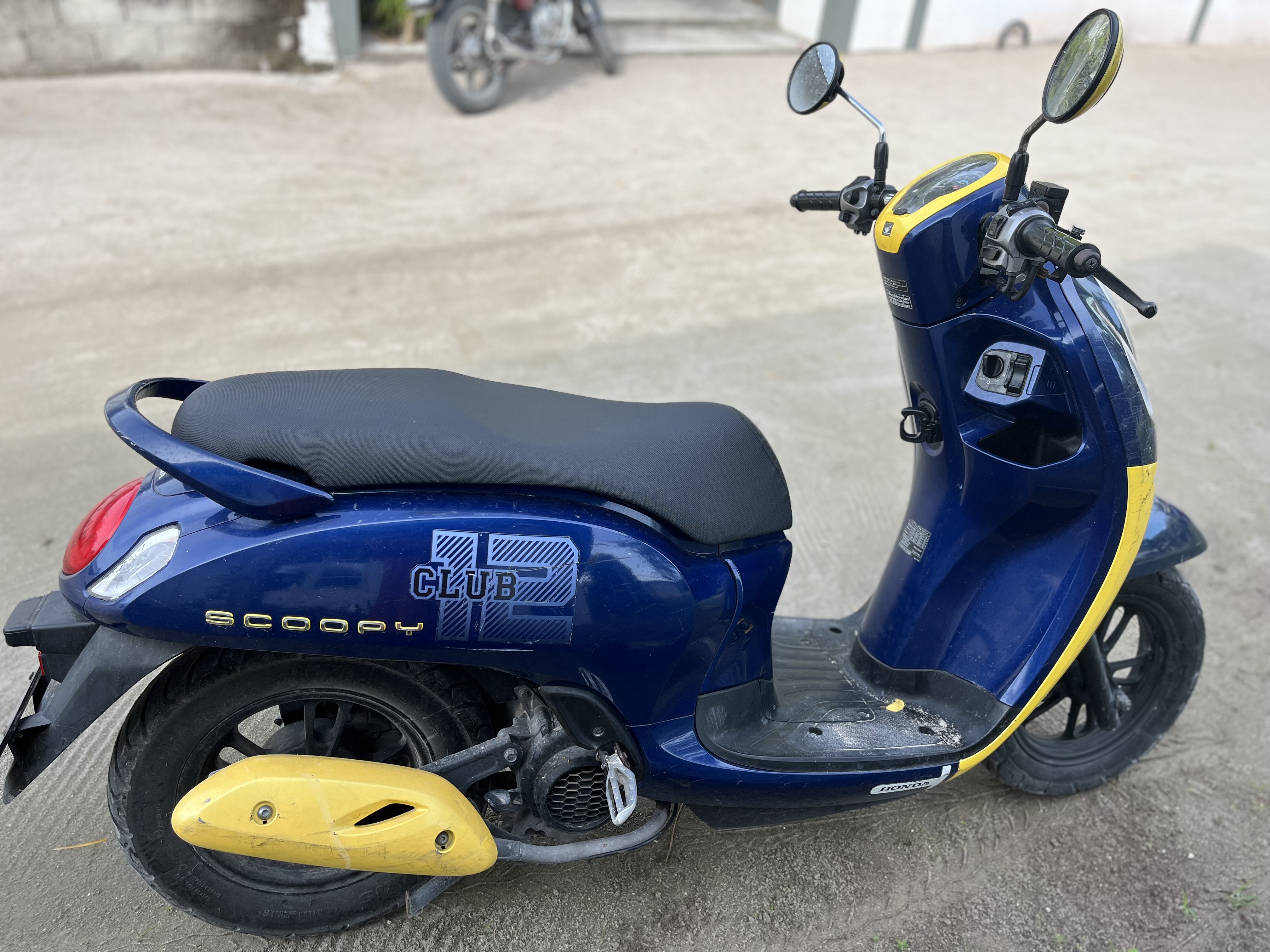 Scoopy